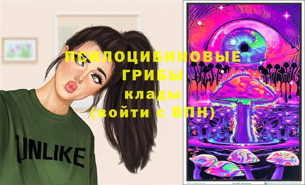 индика Рославль