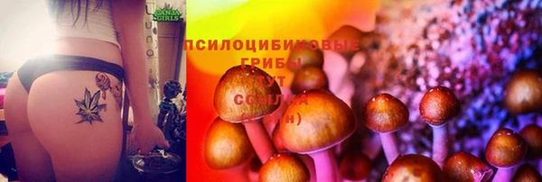 mix Сатка