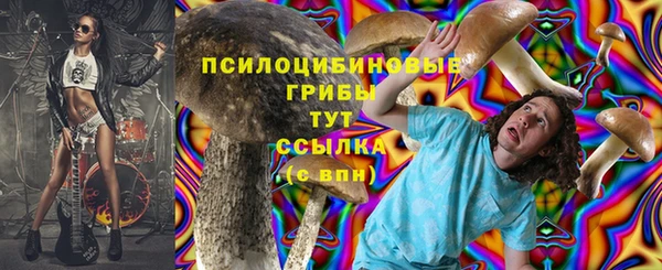 мяу мяу мука Печоры