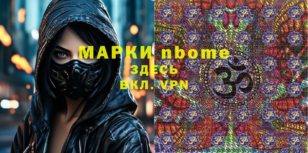 индика Рославль