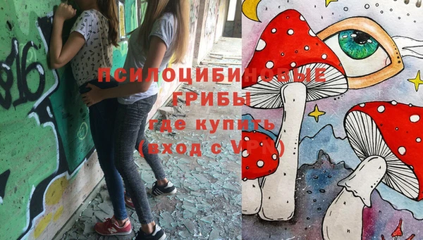 гашик Саяногорск