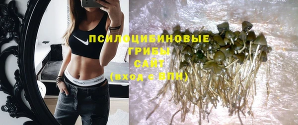 индика Рославль