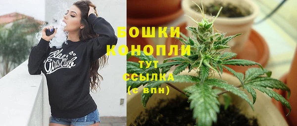 Альфа ПВП Почеп