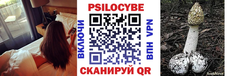 Галлюциногенные грибы Psilocybine cubensis  Сертолово 