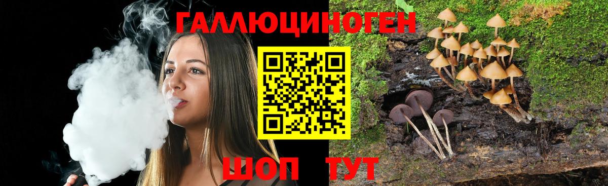 Галлюциногенные грибы мухоморы Сертолово
