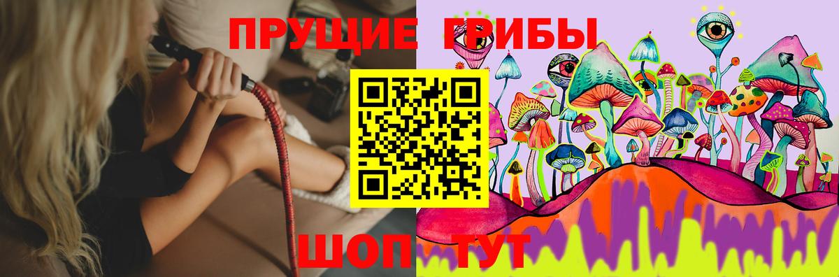 купить наркотики цена  Галлюциногенные грибы мицелий  Сертолово  Псилоцибиновые грибы Magic Shrooms 