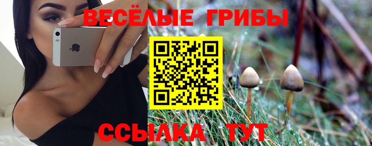 Псилоцибиновые грибы Cubensis  Вход с VPN  Сертолово 